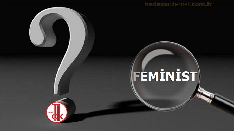 Feminist Ne Demek (Detaylı Anlamlar)