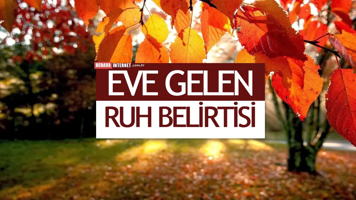 Ruhun eve geldiğini nasıl anlarız? [Evde Ruh Var]